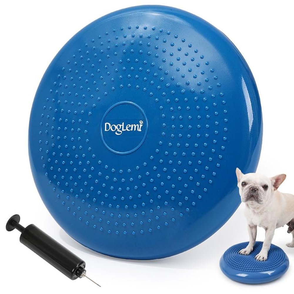 犬用　バランスディスク 大 Amazon | 犬用 バランスディス ドッグバランスディスク 猫用